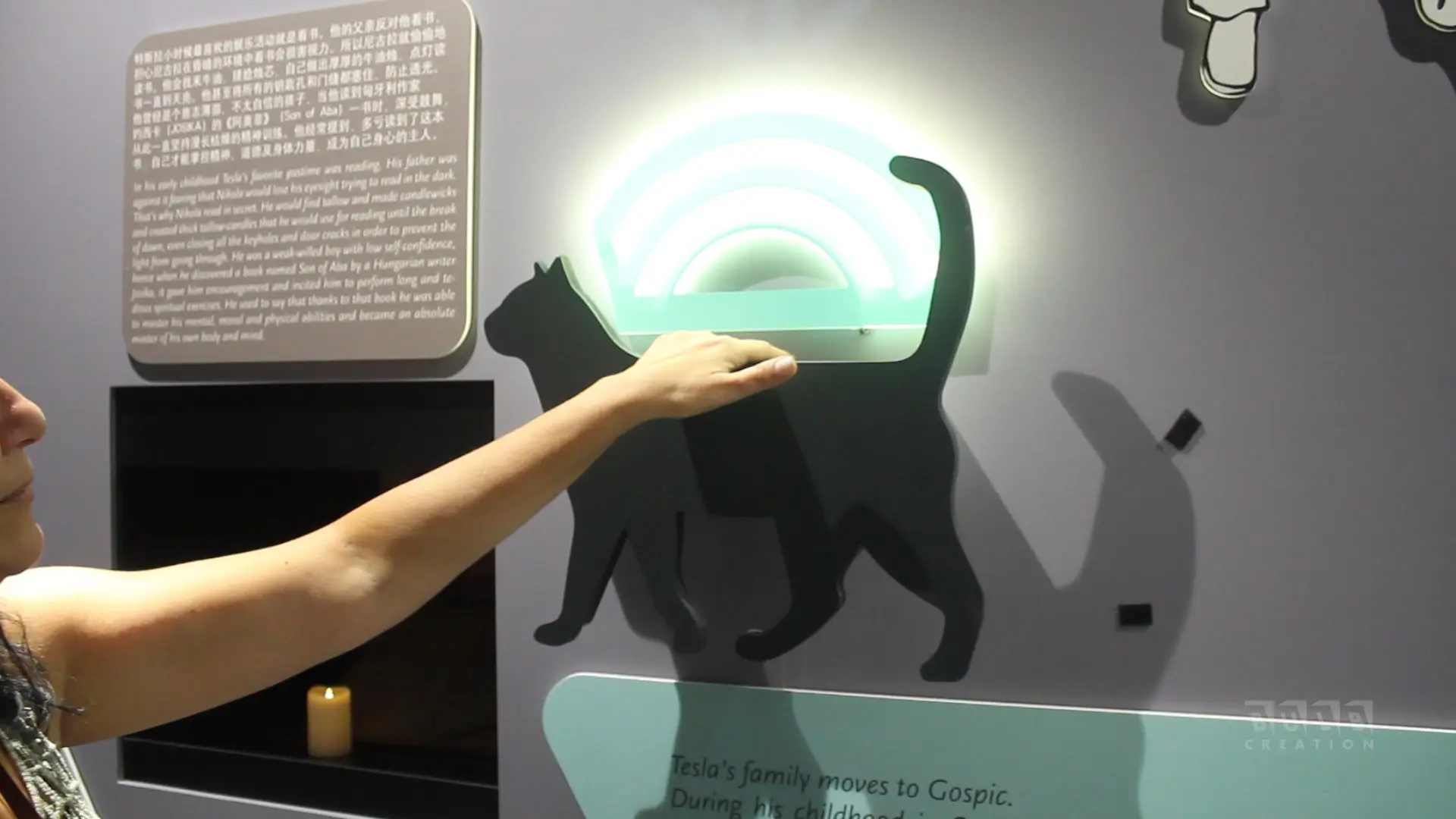 CAT Installation With Motion Sensor